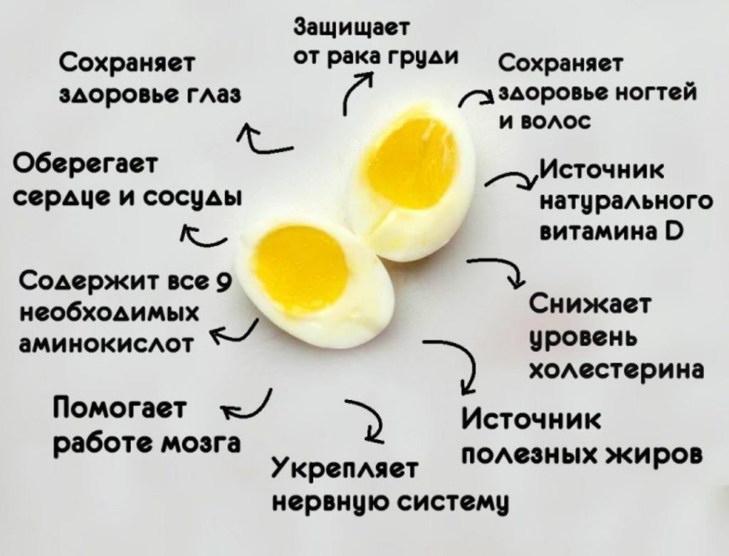 Диета На Перепелиных Яйцах