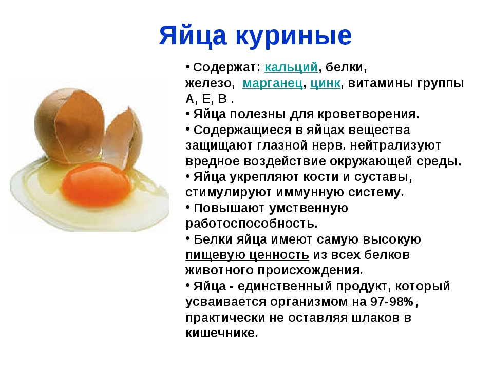 Белок Яйца Диета
