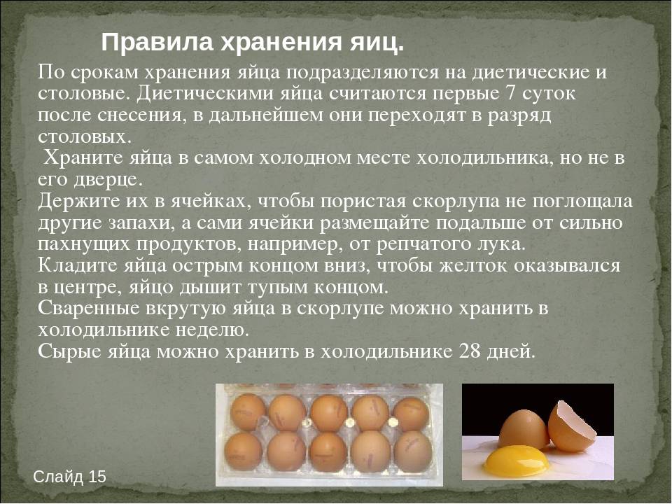Как хранить инкубационное яйцо кур в домашних условиях до закладки в инкубатор?