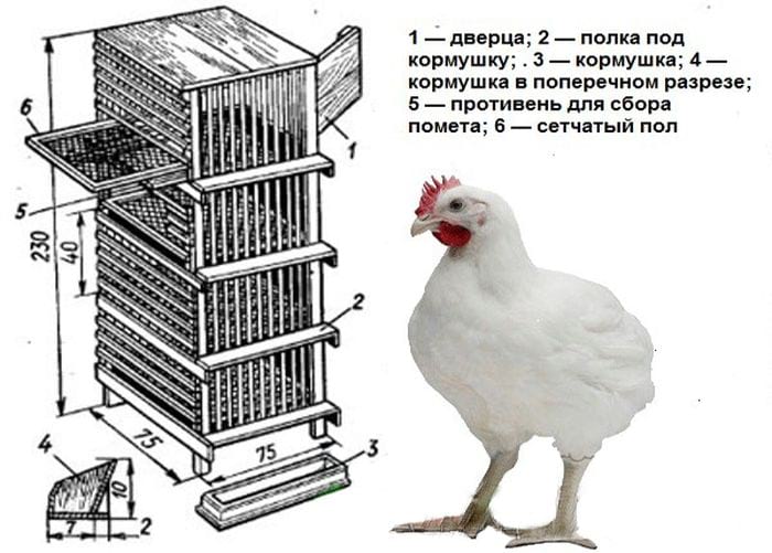 Инструкция по изготовлению клеток для бройлеров своими руками
