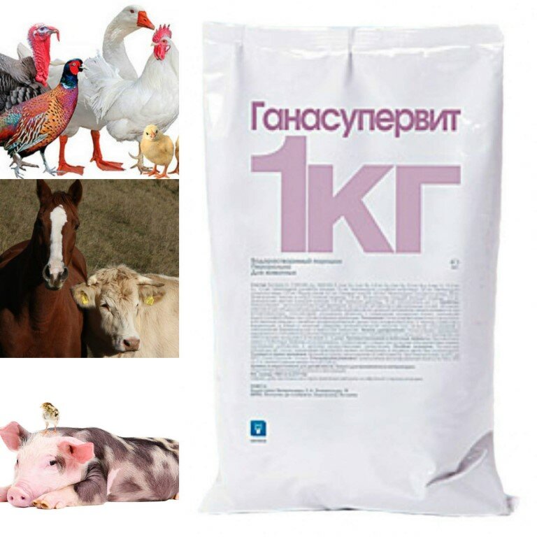 Ганасупервит: инструкция по применению в ветеринарии для птиц, лошадей, свиней, КРС