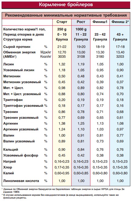 Бройлерные утки — характеристики самых распространенных