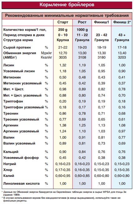 Вес бройлеров таблица в домашних условиях