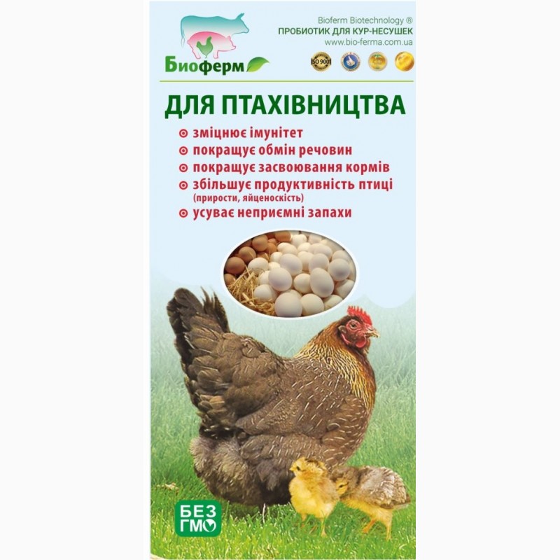 Пищевые добавки для кур и цыплят