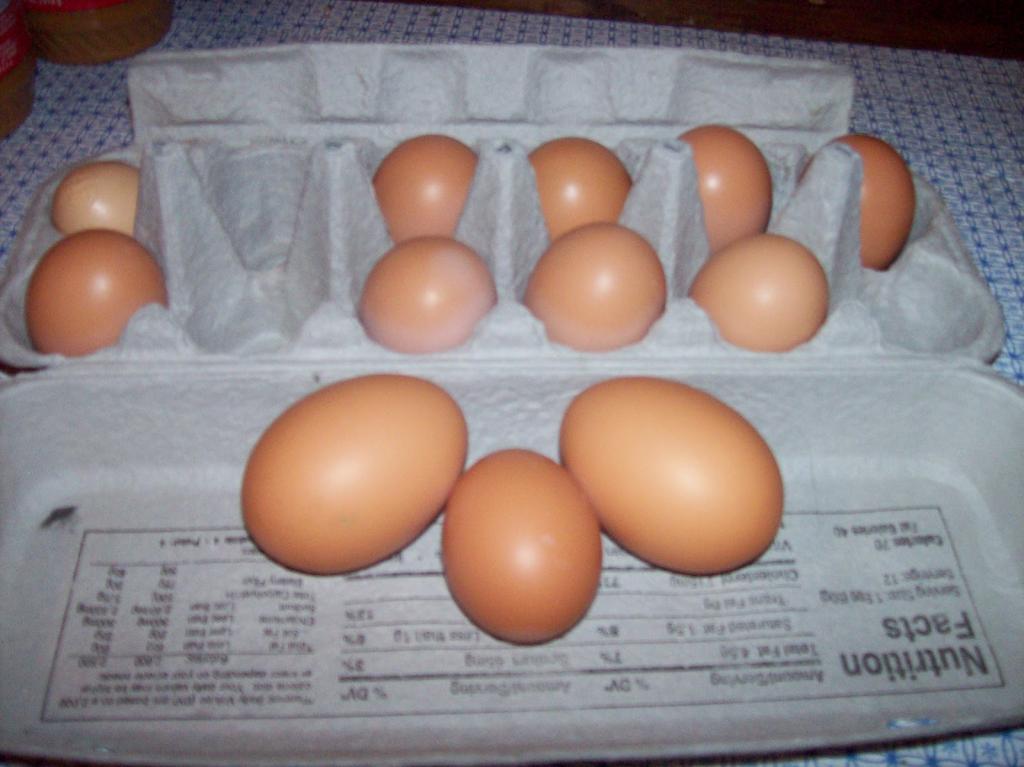 Почему в яйце бываю два желтка и нужно ли решать такую проблему?