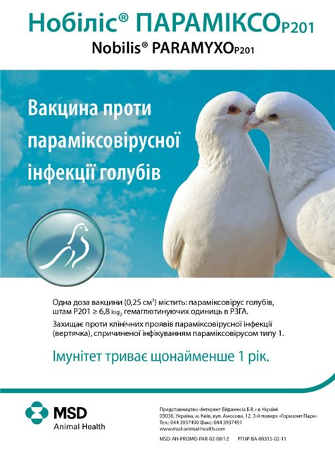Борьба с сальмонеллезом голубей с помощью Виросальма