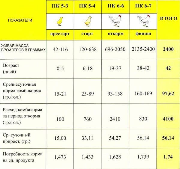 Как вырастить бройлерных цыплят без потерь?