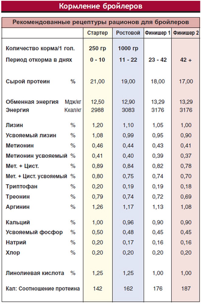 Таблица веса бройлера по дням с рождения по второй месяц жизни: правила взвешивания, нормы набора массы для разных кроссов