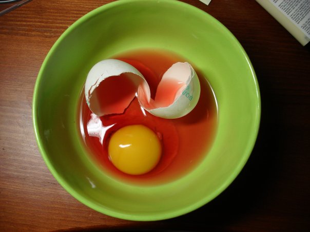 Яйцо с кровью — почему кровь в курином яйце?