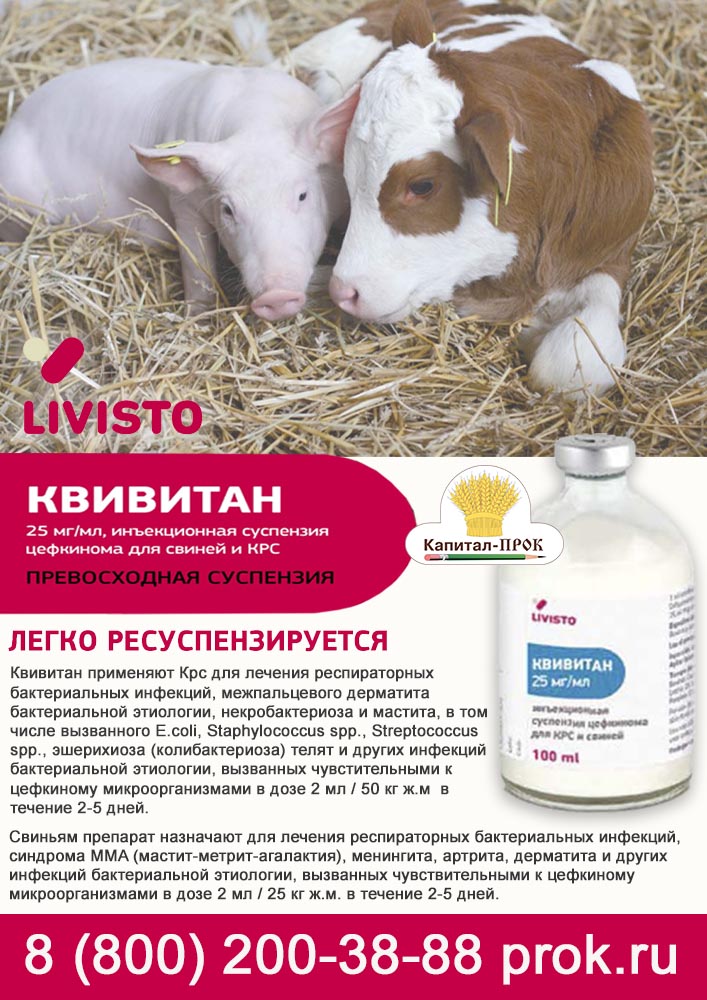 Пневмостоп-О: инструкция по применению в ветеринарии, дозировки для кур и свиней
