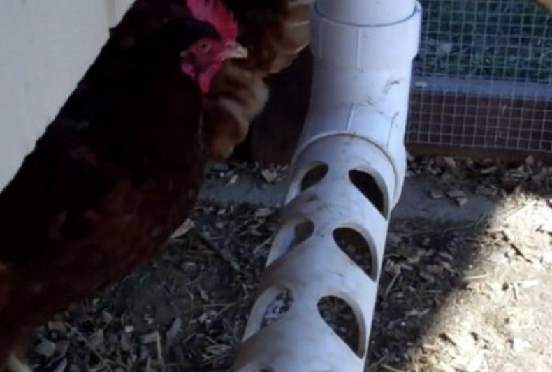 Как сделать кормушки для цыплят своими руками