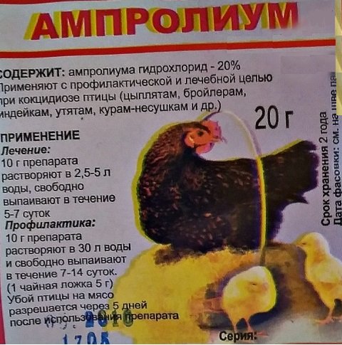 Ампролиум: инструкция по применению для цыплят бройлеров и кур. Как и сколько дней поить птицу