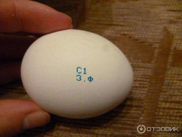 Куриное яйцо с сюрпризом весом в 176 грамм