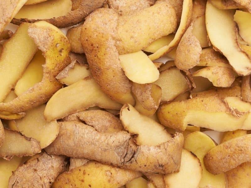 Можно ли курам давать картофельные очистки? Рецепт и нормы кормления