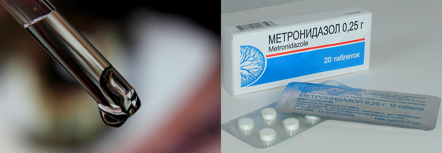 Как лечить больных индюшат Метронидазолом