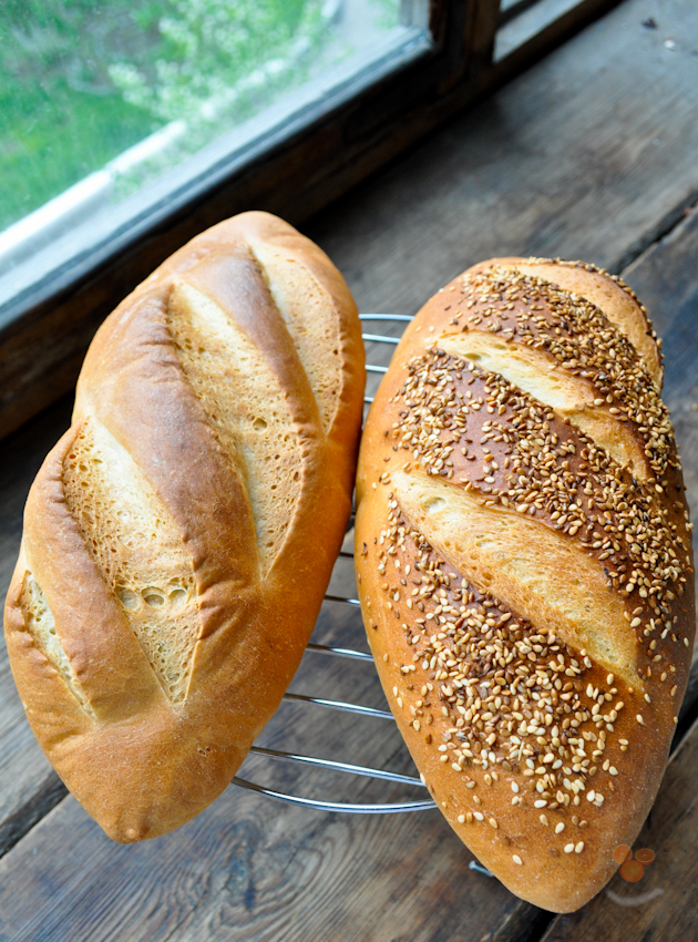 Кормление кур хлебом – как правильно давать булки и батоны?