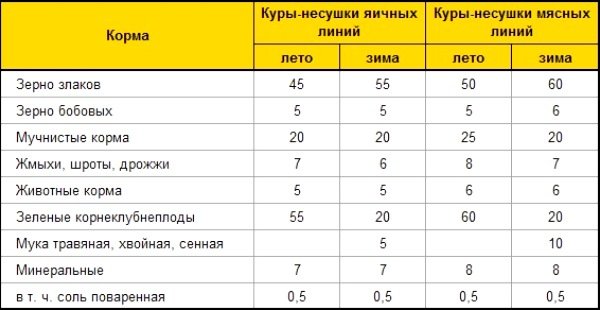 Какой пищевой рацион должен быть у кур?