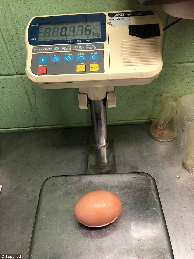 Куриное яйцо с сюрпризом весом в 176 грамм