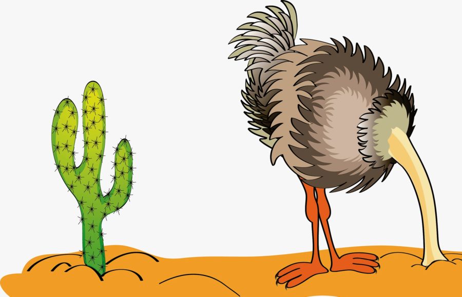 Прячет ли страус голову в песок: распространенные мифы