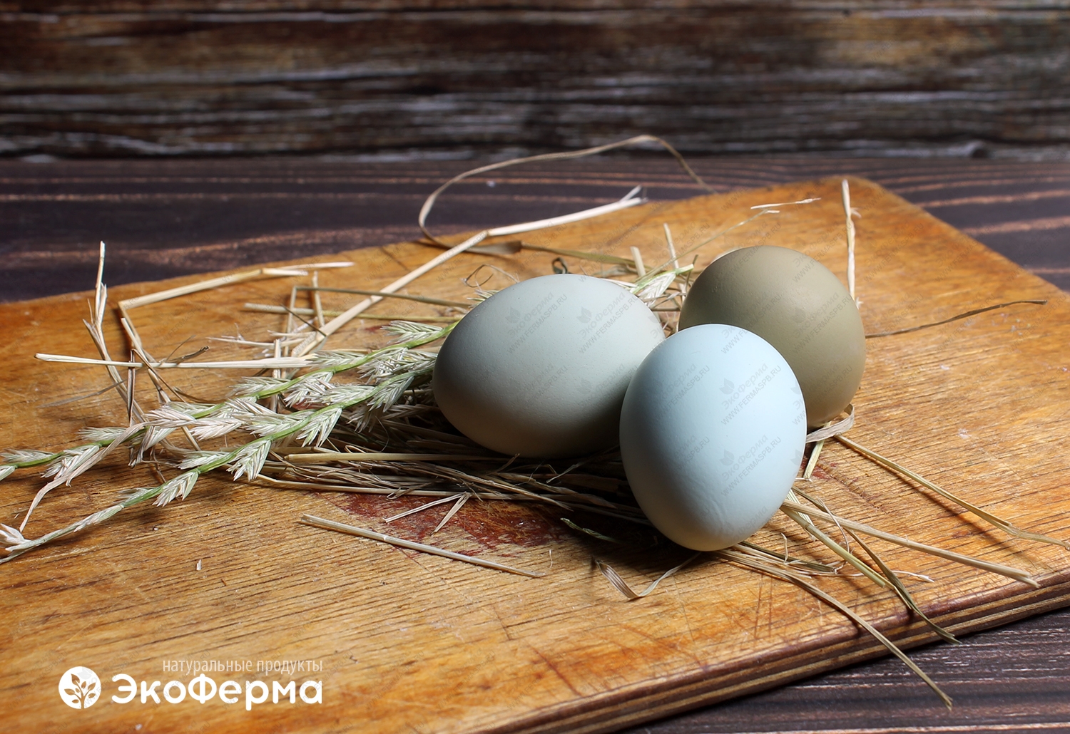 Яйца фазанов – полезные свойства, калорийность, сравнение с яйцами других птиц