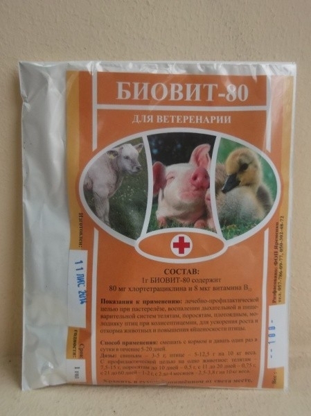 Биовит: инструкция по применению в ветеринарии для птиц, телят, поросят, кроликов и пушного зверя