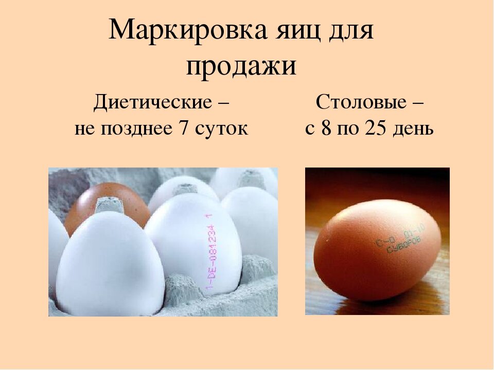 Куриные яйца – польза и вред, категории качества