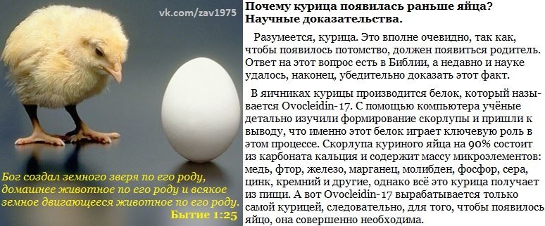Как заставить кур откладывать яйца?
