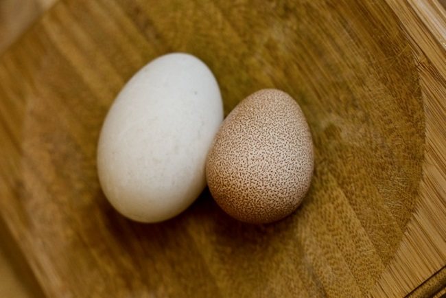Диетические и гипоаллергенные яйца цесарок: польза и вред
