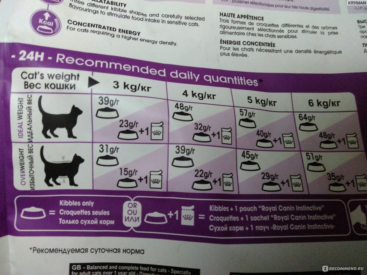 Рекомендации по выбору собачьего корма