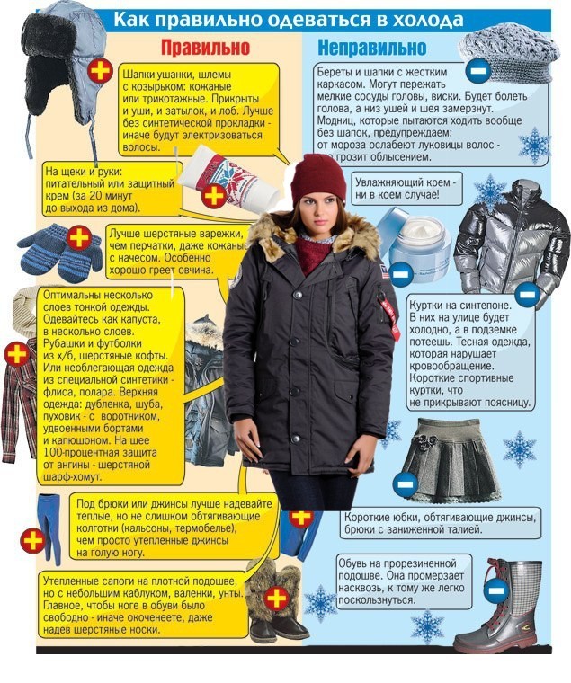 5 советов, как помочь курам пережить зиму