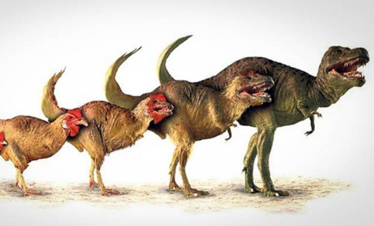 Курица динозавр или кудахтающий курозавр T-Rex