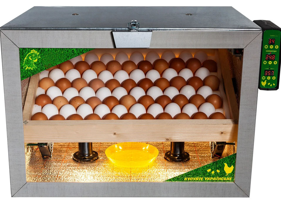 Рейтинг инкубаторов для яиц. Обзор моделей с автоматическим поворотом и регулировкой температуры