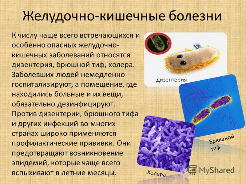 Эгоцин 20 – инструкция по применению антибиотика в ветеринарии