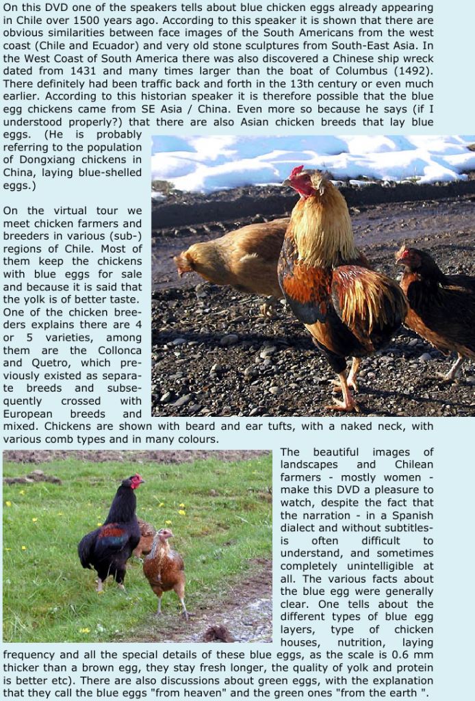Рамельслоэр порода кур – описание с фото и видео