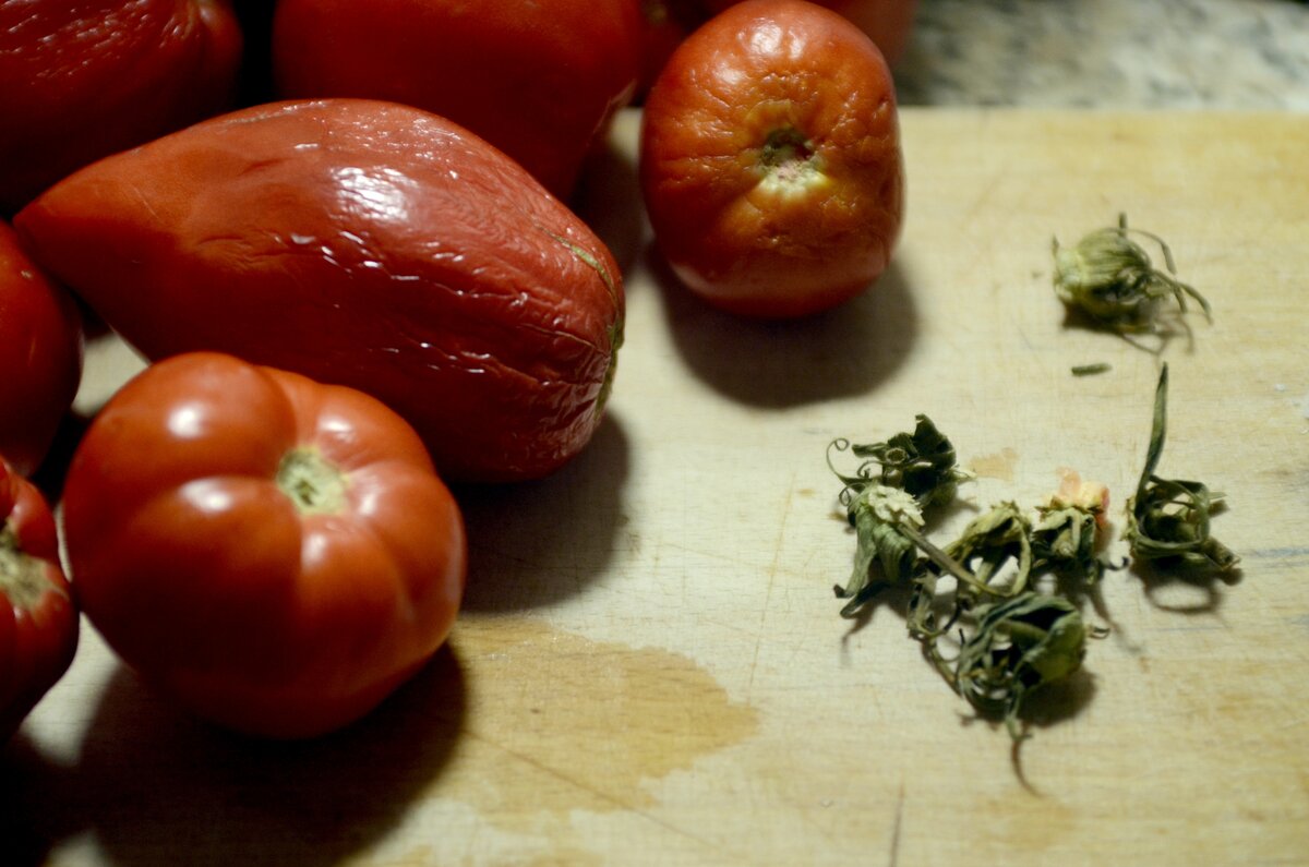Можно ли давать курам помидоры (в том числе, зеленые) и помидорную ботву?