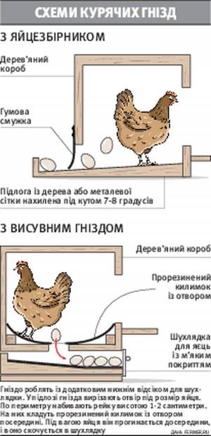 Как сделать гнезда для кур-несушек своими руками