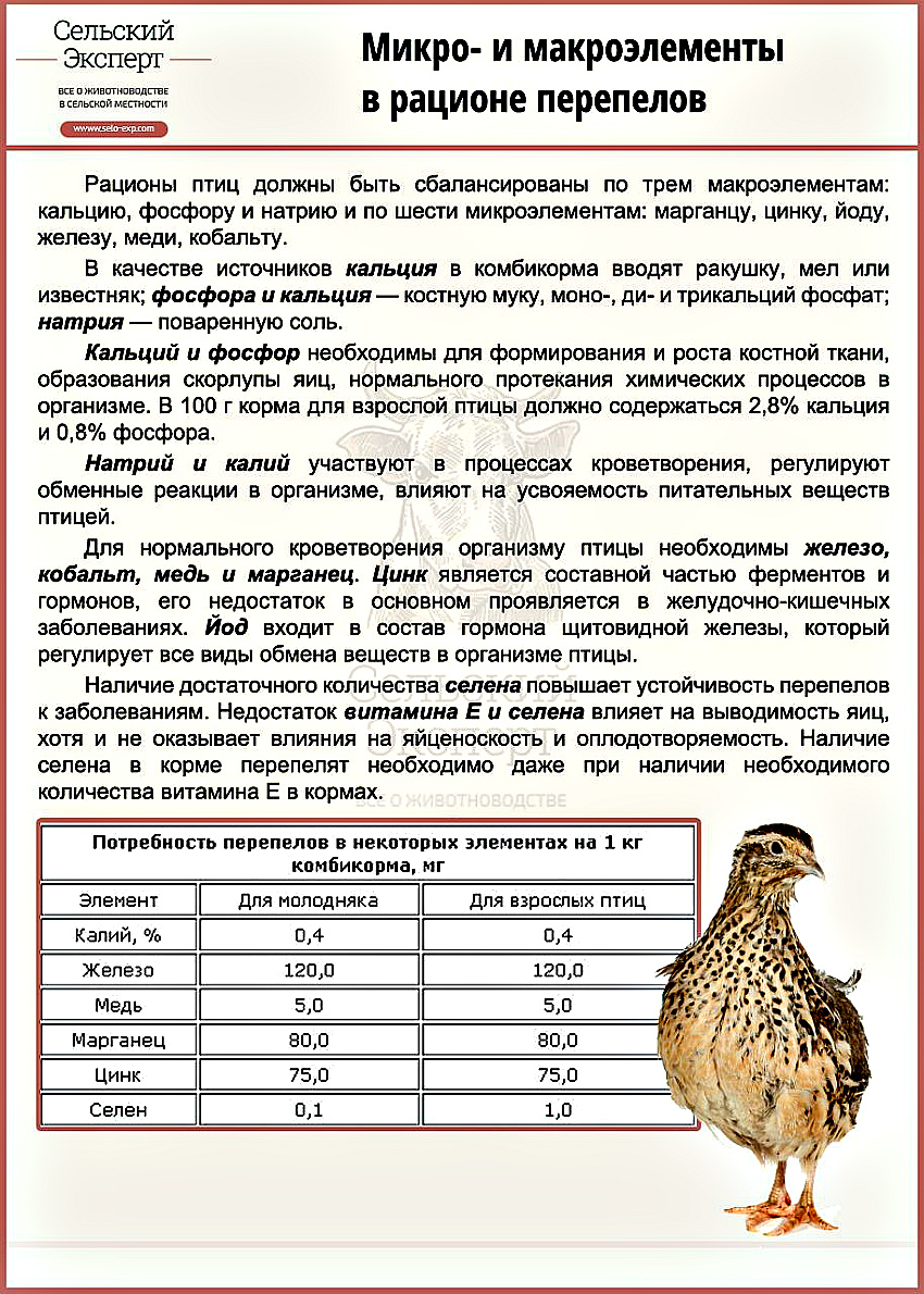 Е-селен для кур и птиц – инструкция по применению