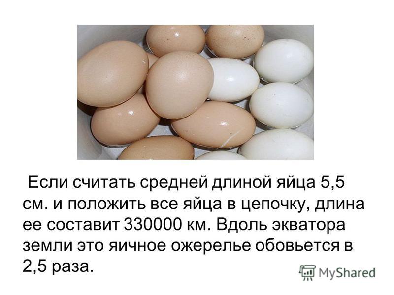 Как по яйцу определить пол цыпленка: как узнать по форме и скорлупе кто вылупится - петух или курица?