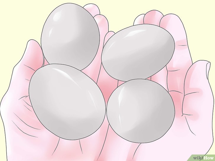 Сколько яиц подкладывать под наседку