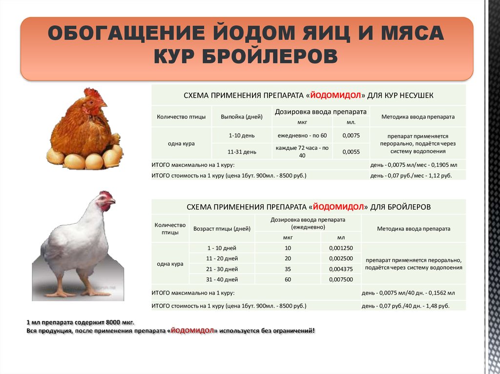Витамины для кур несушек, бройлеров и цыплят: какие и как давать, дозировка
