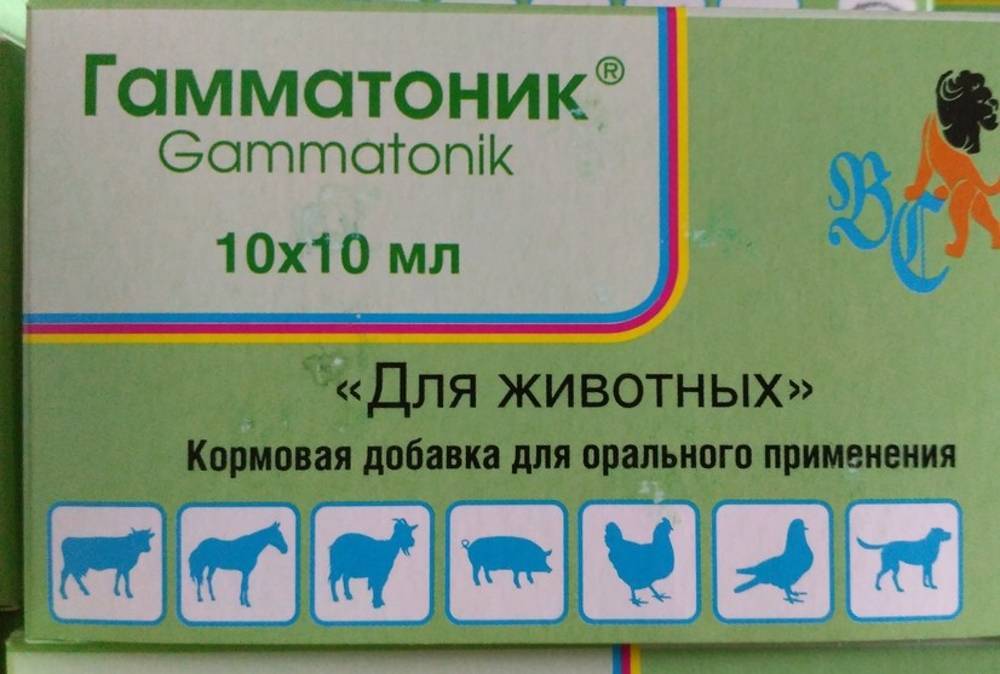 Гамматоник для цыплят, бройлеров и несушек: инструкция по применению и дозировка с водой
