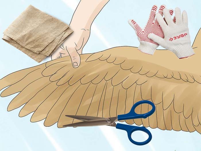 Как подрезать крылья индюкам, чтобы не летали