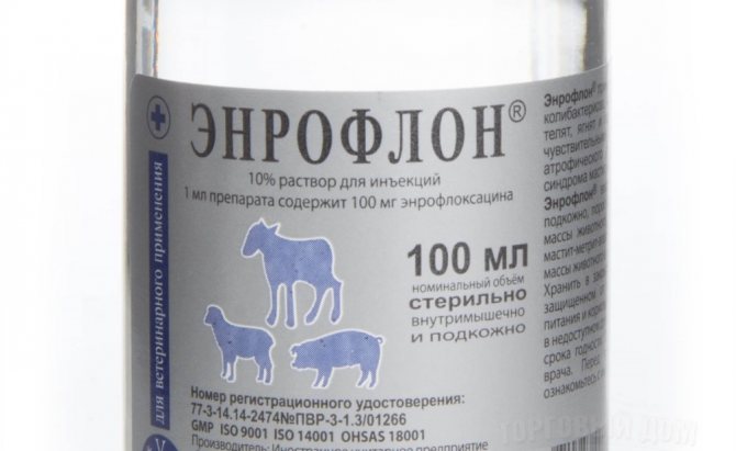 Энрофлоксацин 100 (10%): инструкция по применению в ветеринарии для птиц и животных
