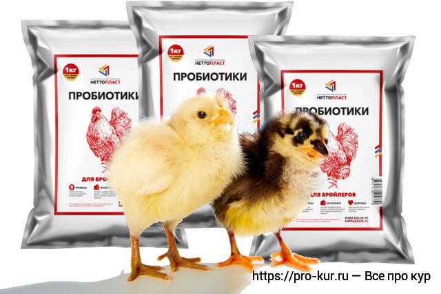 Витамины для цыплят кур несушек и бройлеров
