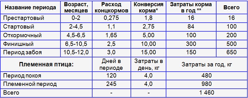 Кормление страусов в домашних условиях