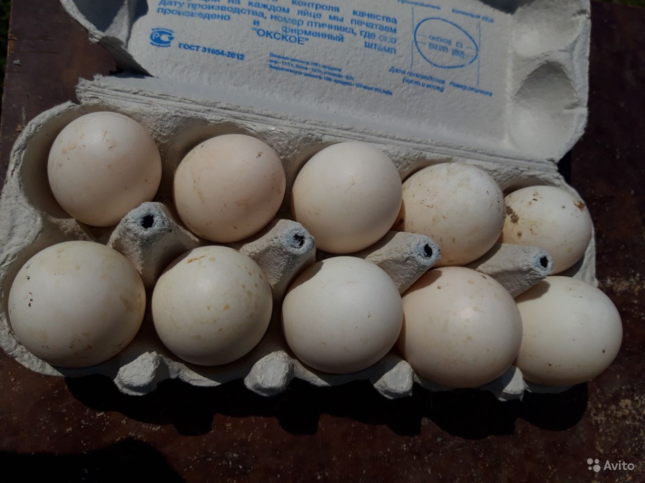 Чем утиные яйца лучше куриных? 12 плюсов и 1 минус
