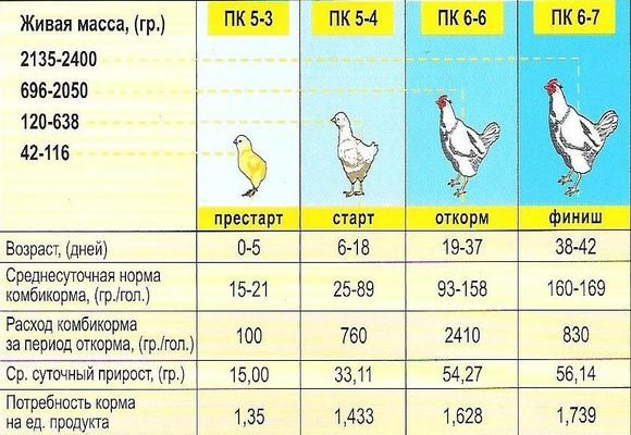 Как правильно дать тетравит заболевшим бройлерам и цыплятам: дозировка и инструкция по применению