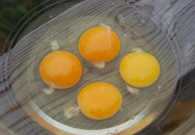 Почему у куриных яиц жидкий белок, который растекается как вода