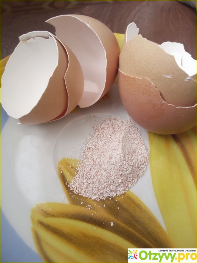 Способы применения яичной скорлупы