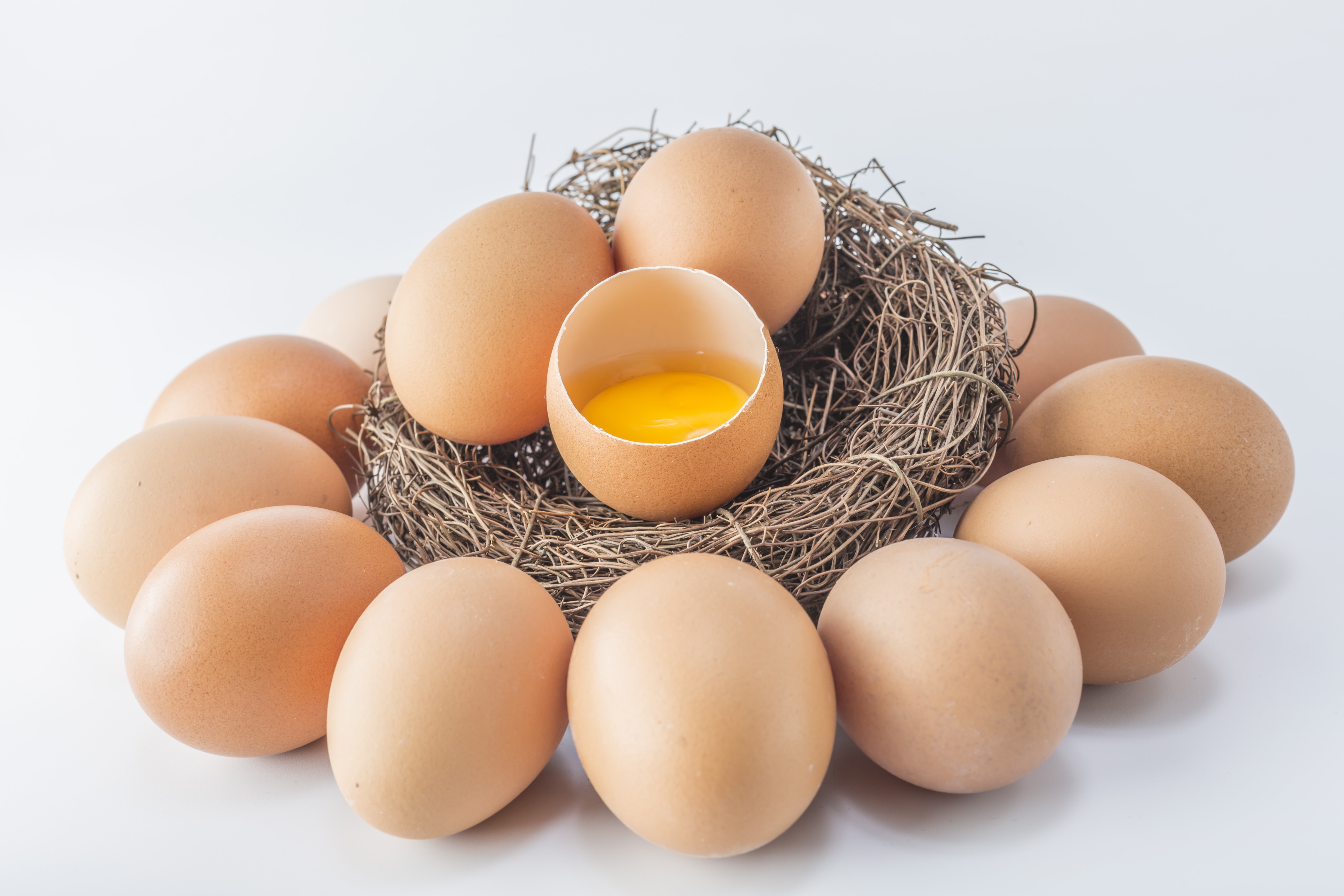 Какие яйца можно считать органическими?